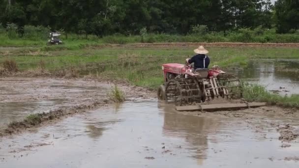 Aerial view Vietnam tractor rice fields — Stock Video