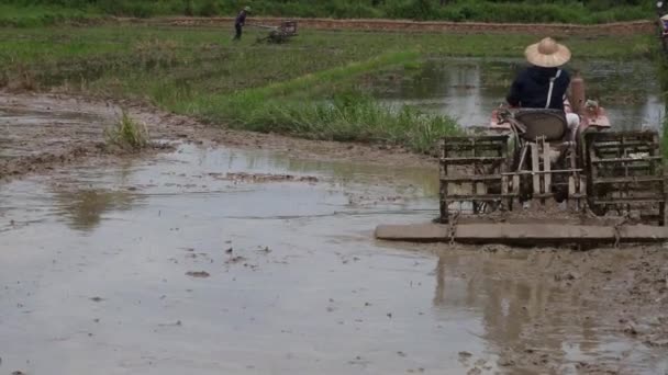 Vista aérea Vietname trator campos de arroz — Vídeo de Stock
