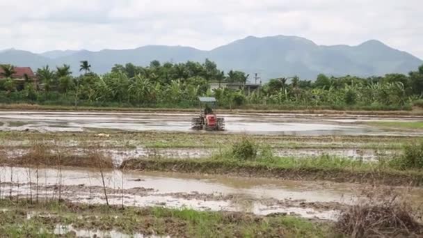 Légifelvételek Vietnam traktor rizs mezők — Stock videók