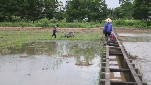 Widok z lotu ptaka Wietnam ciągnika ryżu pola — Wideo stockowe