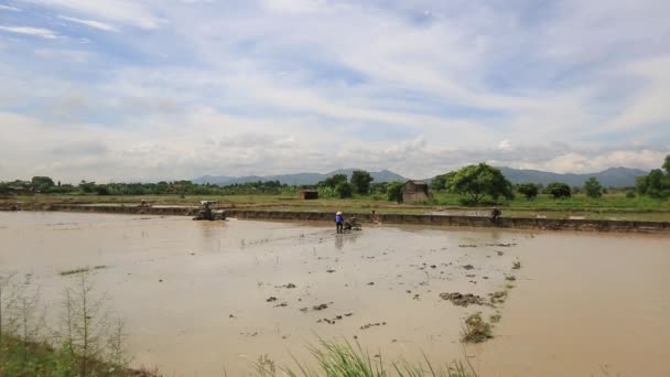 Vue aérienne Vietnam tracteur rizières — Video