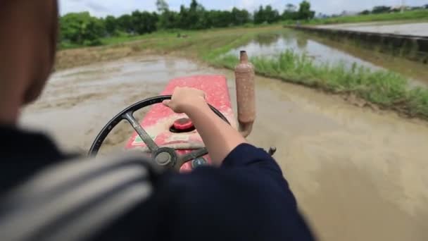 Vue aérienne Vietnam tracteur rizières — Video