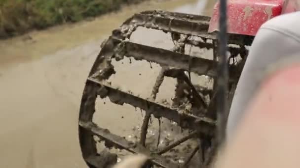 Aerial view Vietnam tractor rice fields — Stock Video