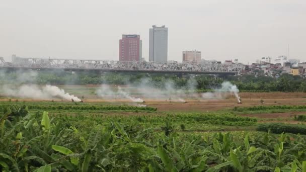 Fields fumigation with smoke, Traditional methods against pests. — Stock Video