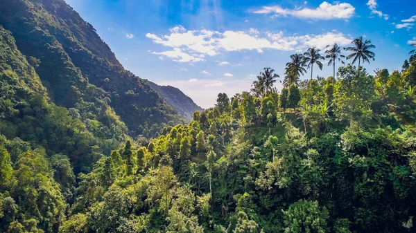 Cascada de Bali, Cascada de Sekumpul, Bali, Indonesia — Foto de Stock