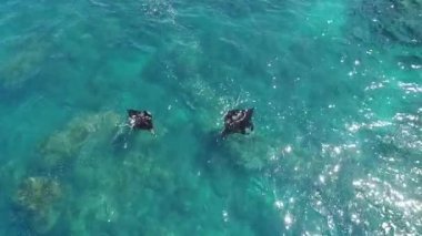 Rampa yüzeyinde oluşan su, Erkek, Bali