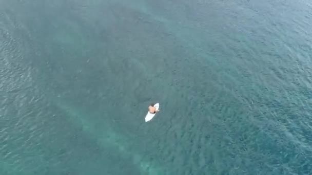 サーファーが海の夕日、トップ ビューで波に乗る — ストック動画