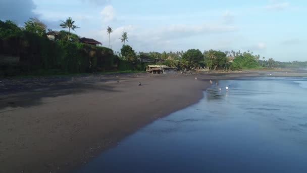 Ο άνθρωπος βόλτες με σκούτερ στην παραλία — Αρχείο Βίντεο