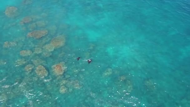 男性、バリ島の水の表面上のランプ — ストック動画