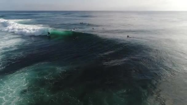 Surfer sur les vagues au coucher du soleil sur l'océan, vue sur le dessus — Video