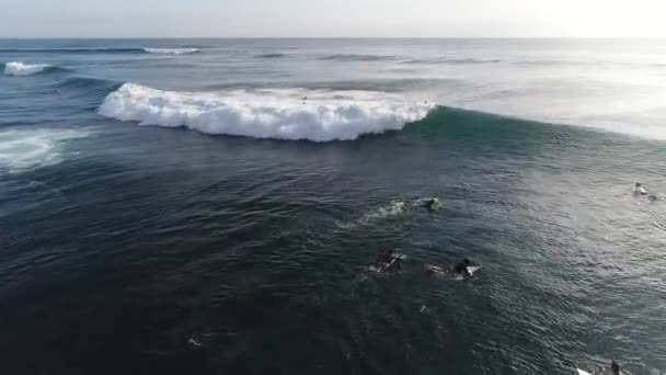 Surfer sur les vagues au coucher du soleil sur l'océan, vue sur le dessus — Video