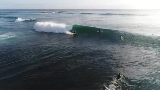 Surfer ride on waves in ocean sunset, top view — Stock Video