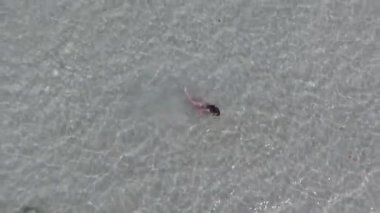 Promthep Cape üst görünüm mağara simgesi Phuket, Tayland. Phromthep mağara görünümü noktasının Phuket, dron kameradan havadan görünümü,