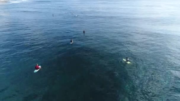 Surfista paseo en olas en la puesta de sol del océano, vista superior — Vídeos de Stock