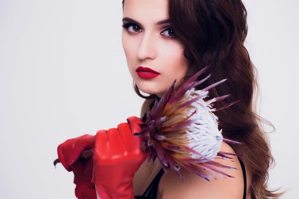 Hermosa mujer sosteniendo flor de protea en habitación blanca Guantes de seda rojo retro, vestido oscuro, mujer con pelo rizado, chica morena sobre fondo blanco — Foto de Stock