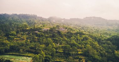 dağ ağaçlarıyla, günbatımı, bali sis kaplı.