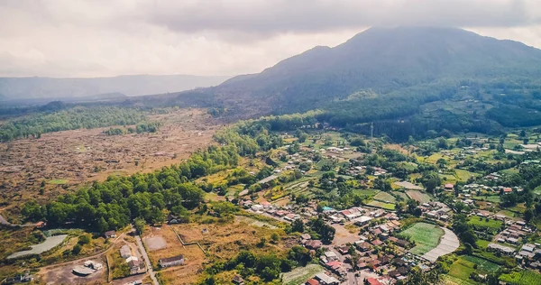 Berget täcks med träd, solnedgång, bali dimma grön — Stockfoto