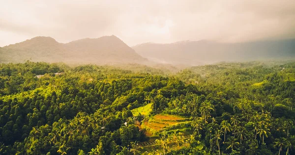 Berget täcks med träd, solnedgång, bali dimma grön — Stockfoto