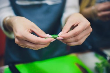 Yemekleri otlar ile hizmet veren, kız yeşil yaprakları bir saman sarar