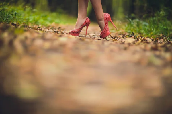Ноги в шкіряних чоботях на осінньому листі. Туфлі для ніг, що ходять у природі — стокове фото