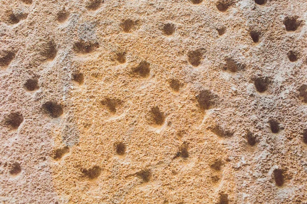 Bílé štukové stěny pozadí. Bílé lakované cementu textury — Stock fotografie