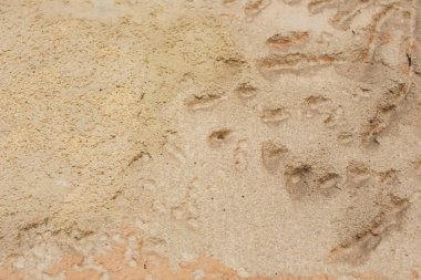 Dokulu duvar. Arka plan doku. eski çimento taş.