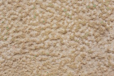 Dokulu duvar. Arka plan doku. eski çimento taş.