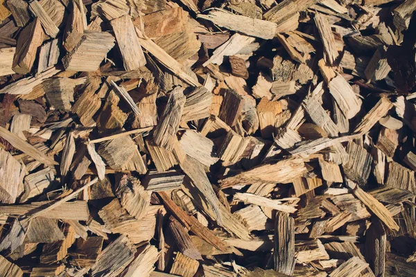 Primer plano las virutas de madera o restos de madera o la superficie de piezas de terracota de corteza de madera como textura y fondo — Foto de Stock