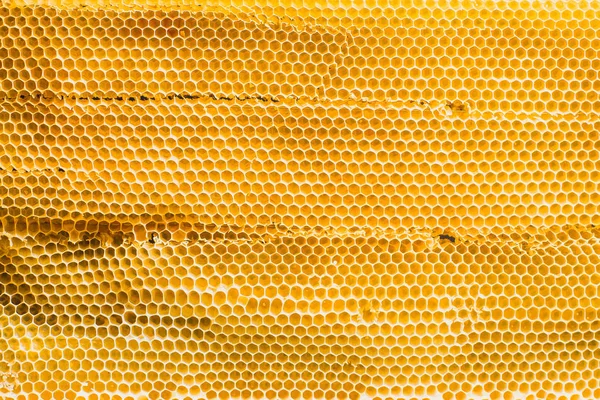 Textura de fondo y sección de patrón de panal de cera de la colmena de abejas llena de miel de oro en la vista de marco completo —  Fotos de Stock