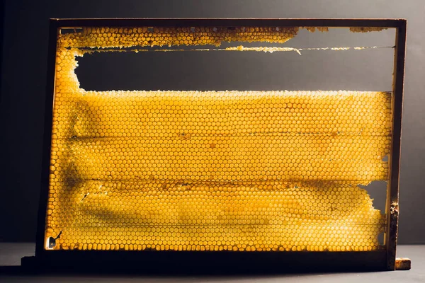 Textura de fundo e seção de padrão de favo de mel de cera da colmeia de abelhas preenchida com mel dourado em vista de quadro completo — Fotografia de Stock