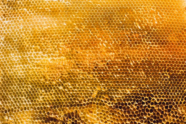 在全帧视图中充满金色蜂蜜的蜂巢蜡蜂窝的背景纹理和图案部分 — 图库照片#