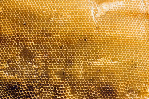 在全帧视图中充满金色蜂蜜的蜂巢蜡蜂窝的背景纹理和图案部分 — 图库照片#