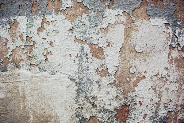 오래 된 페인트 벽 텍스처 그런 지 배경 — 스톡 사진