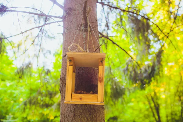 Futterstellen für Vögel im Stadtpark — Stockfoto