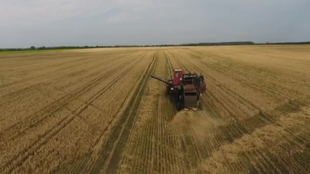 Крупный план комбайна на пшеничном поле. Вид с воздуха . — стоковое видео