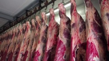 Taze et parçalar asılı ve bir büyük bir satırda düzenlenen, buzdolabı buzdolabı et sektöründe ışıklar yarım kapatın. Yatay görünüm.