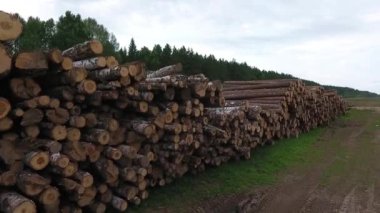 Ahşap depo. Günlükleri kereste. Hava.