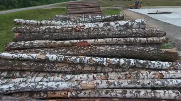 Almacén de madera. Troncos de madera. Antena . — Vídeos de Stock