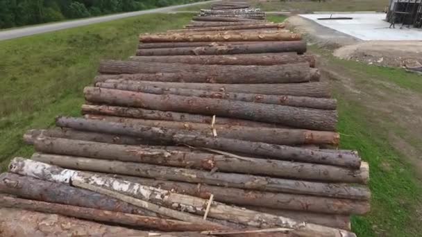 Wood warehouse. Lumber logs. Aerial. — Stock Video