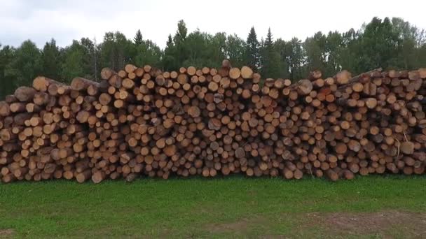 Wood warehouse. Lumber logs. Aerial. — Stock Video