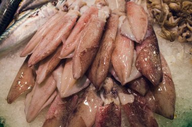 Buz tepsiler taze Pazar bölgesinde süpermarkette portre taze kalamar.