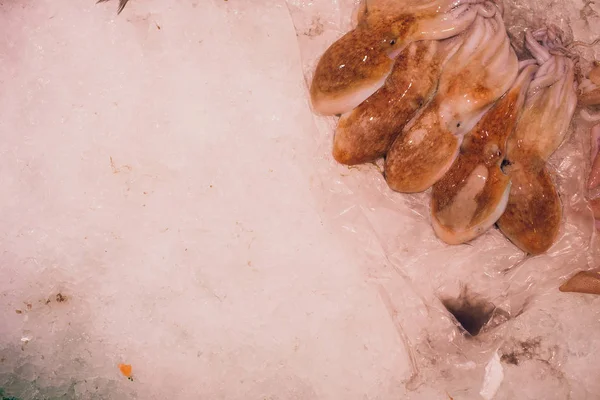 Lulas frescas fechadas no gelo em bandejas zona de mercado fresco no supermercado . — Fotografia de Stock