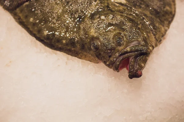 Pesce ippoglosso indiano sul ghiaccio al supermercato . — Foto Stock