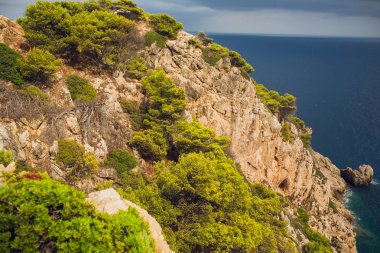 güzel bir deniz manzarası. Deniz ve gün batımı, rock. doğa kompozisyon.
