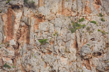 Bir duvardan moss ve yükseklik üzerinde Alps dağda buldum mantar ile büyümüş bir yontma taş, taş duvar parçası.