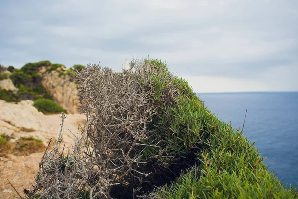 Phare au cap Formentor sur la côte de Majorque Nord, Espagne. Lever de soleil artistique et paysage crépusculaire . — Photo