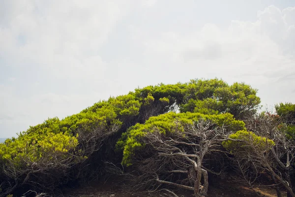 Φάρος στο ακρωτήριο Formentor στην ακτή της βόρειας Μαγιόρκα, Ισπανία. Καλλιτεχνική Ανατολή και τη Δύση landascape. — Φωτογραφία Αρχείου