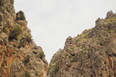 Güzel defne plaj turkuaz Karadeniz Dağları, Cala Sa Calobra. Mayorka. Balear Adaları. İspanya.