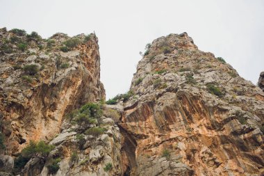 Güzel defne plaj turkuaz Karadeniz Dağları, Cala Sa Calobra. Mayorka. Balear Adaları. İspanya.