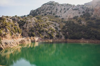 Pastoral yaz manzarası ile dağ gölü Alpleri'nde temizleyin.